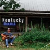 Kentucky Bluebird (Acoustic)